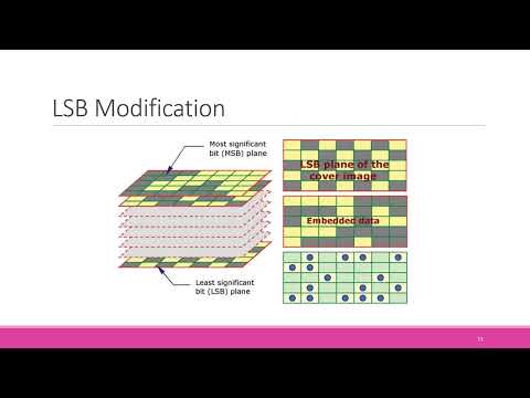 Cyber Warfare: Steganography vs. Steganalysis