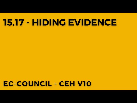 Mastering the Art of Concealment: Hiding Evidence in the Digital Landscape