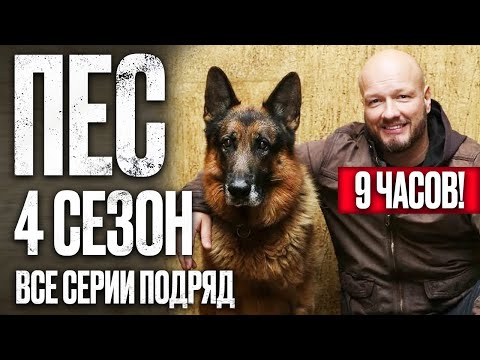 🎬 Сериал ПЕС 4 сезон – Полный 4 СЕЗОН – ВСЕ СЕРИИ ПОДРЯД (1 – 10) | ПЕС 2023 – ЧАСТЬ 1