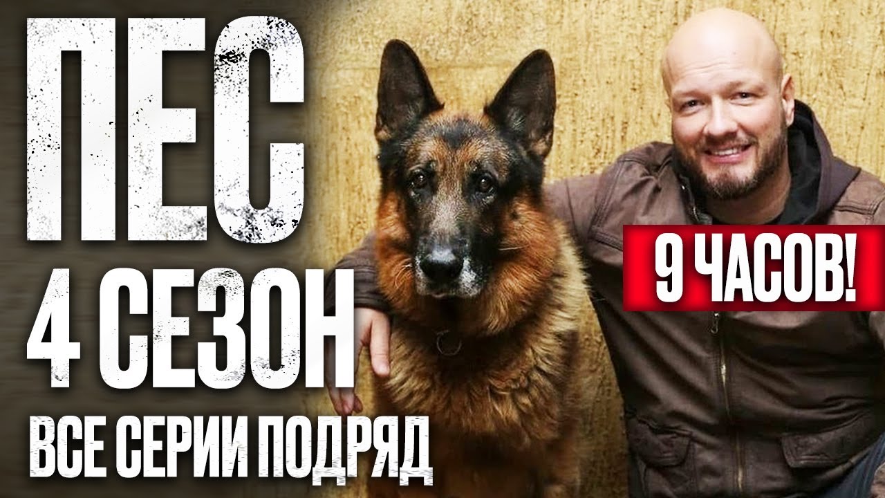 ПЕС 4 сезон — Все серии подряд (1-10) | Полный обзор 2023