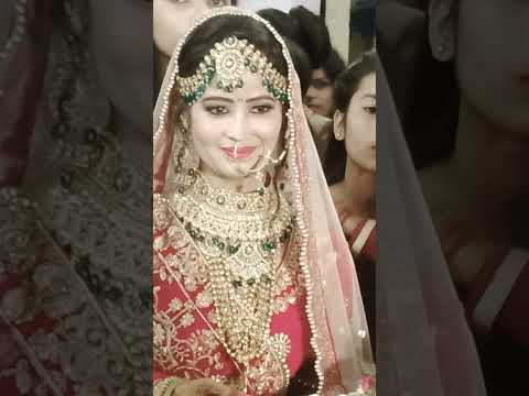 @shivanisoni8755