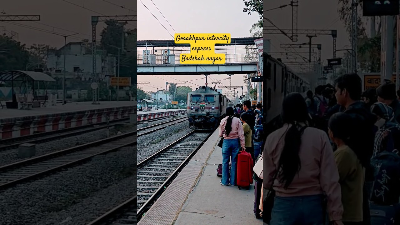 Gorakhpur-Intercity Express at Badshah Nagar 🚆