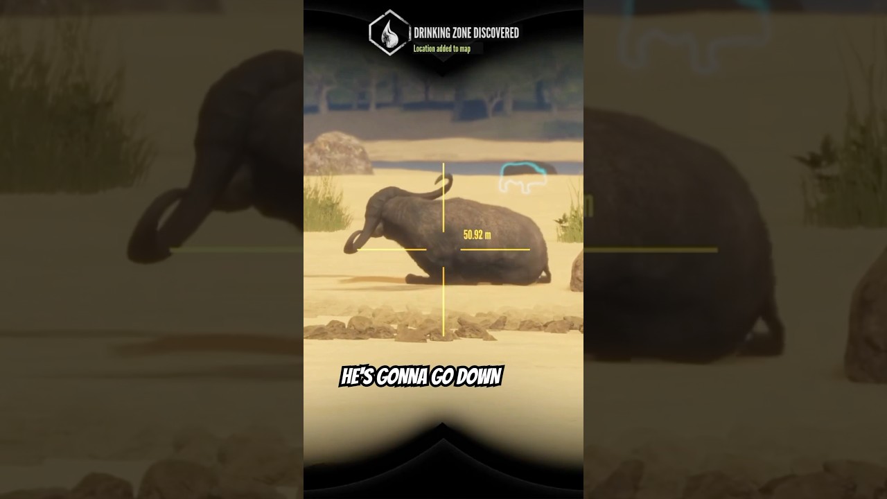 Bow 🏹 vs 💎 Cape Buffalo in COTW