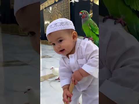 Cute Baby Sweeping Near Holy Kaaba 🕋 | Heart Touching Islamic Video with Love, Peace & Innocence