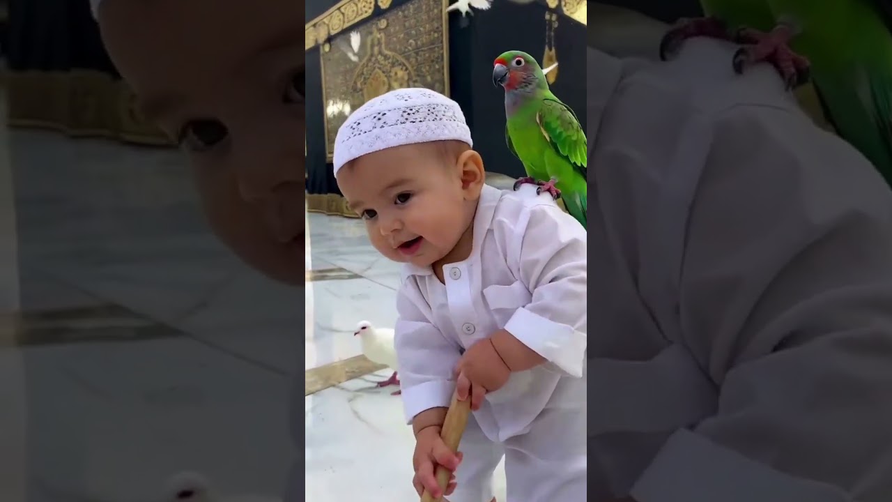 Adorable Baby Sweeping Near the Holy Kaaba | Touching Islamic Video of Love, Peace & Innocence