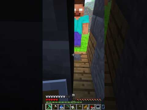 le meilleur système de sécurité minecraft #fromthefog