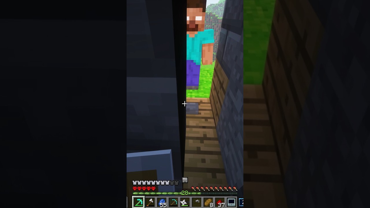 Le meilleur système de sécurité pour Minecraft