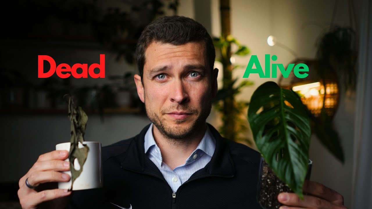 Revive Your Relationship: The Key to Its Survival 💖