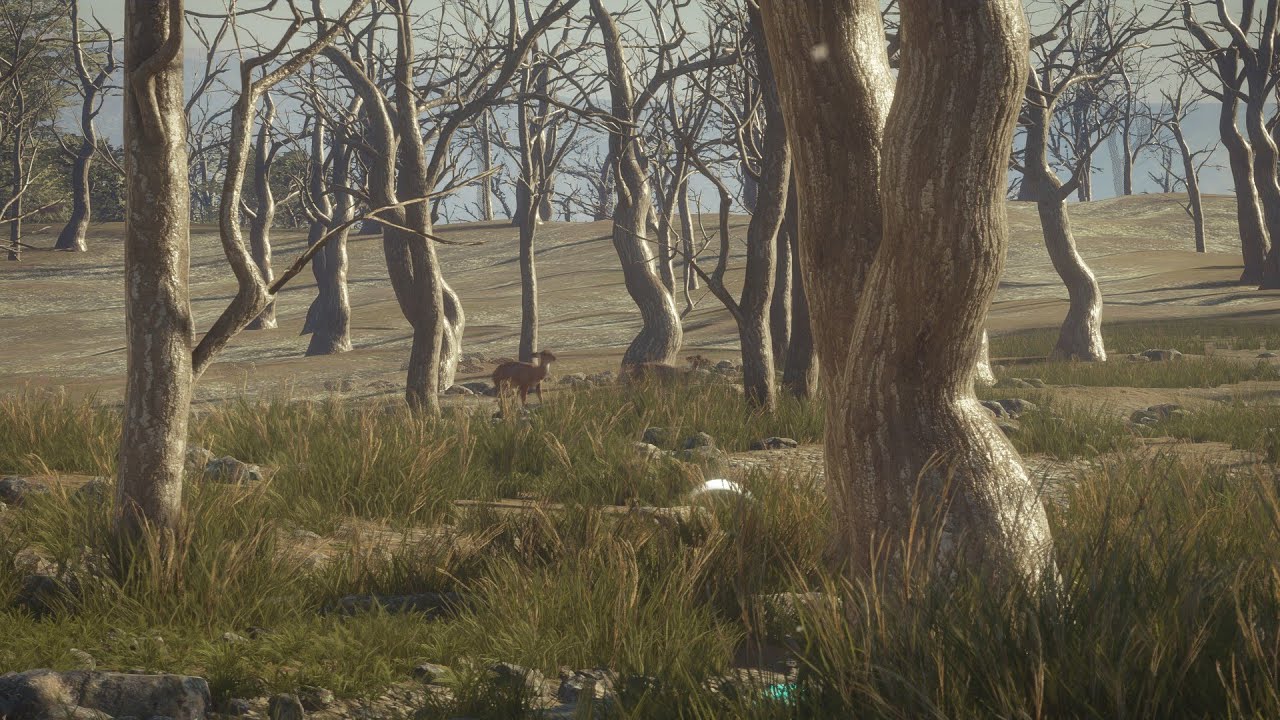 Axis Deer Hunting Guide in The Hunter Call of the Wild 🦌