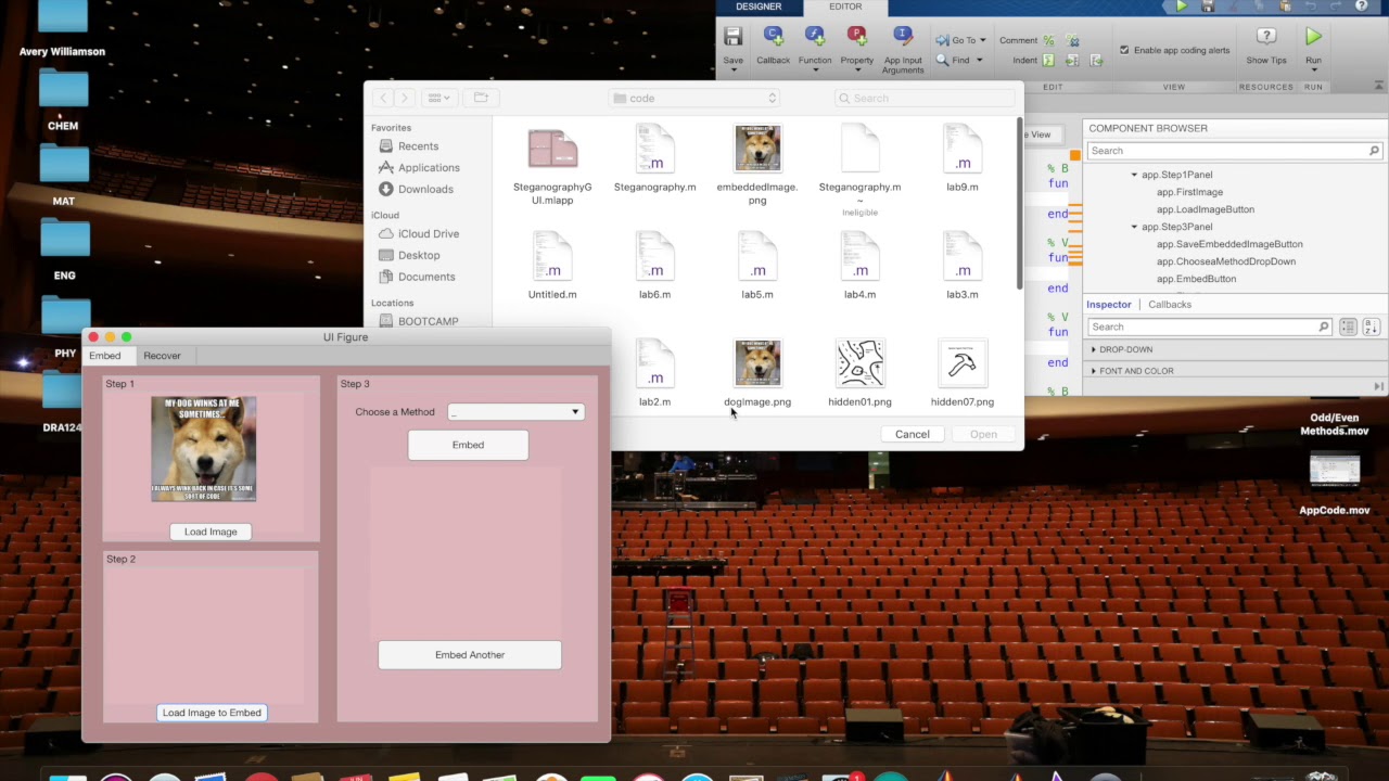 ENG6 Steganography Project Team CAM