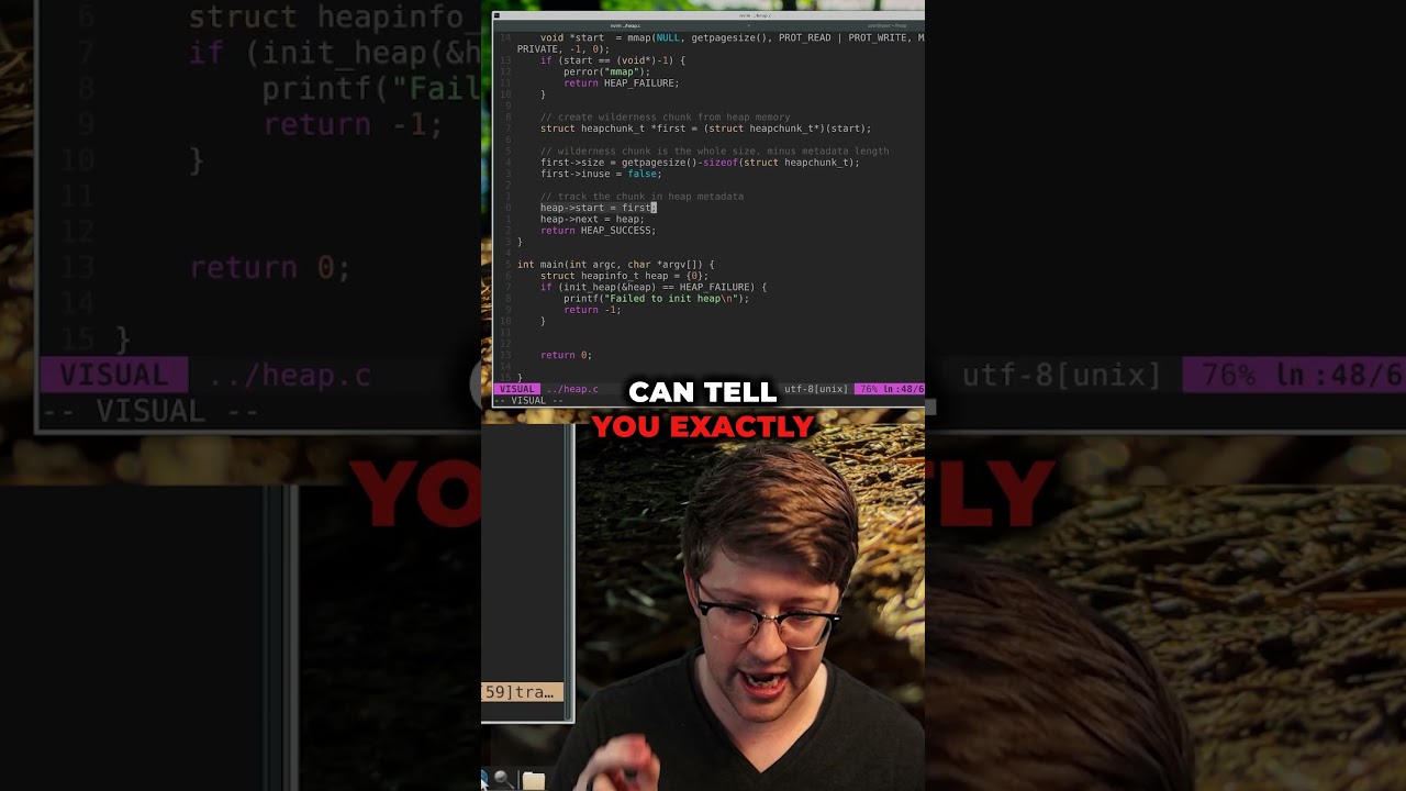 C vs C++: Which Do You Prefer? 🤔