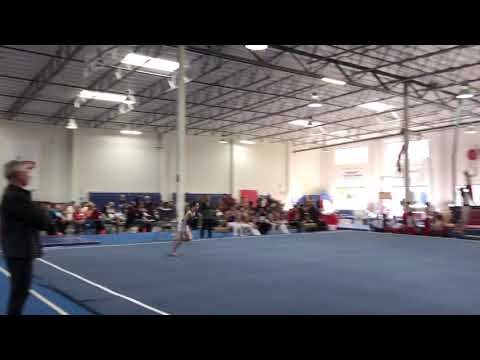 Arthur Dmitriyenko, Yourba Linda Gymnastics.