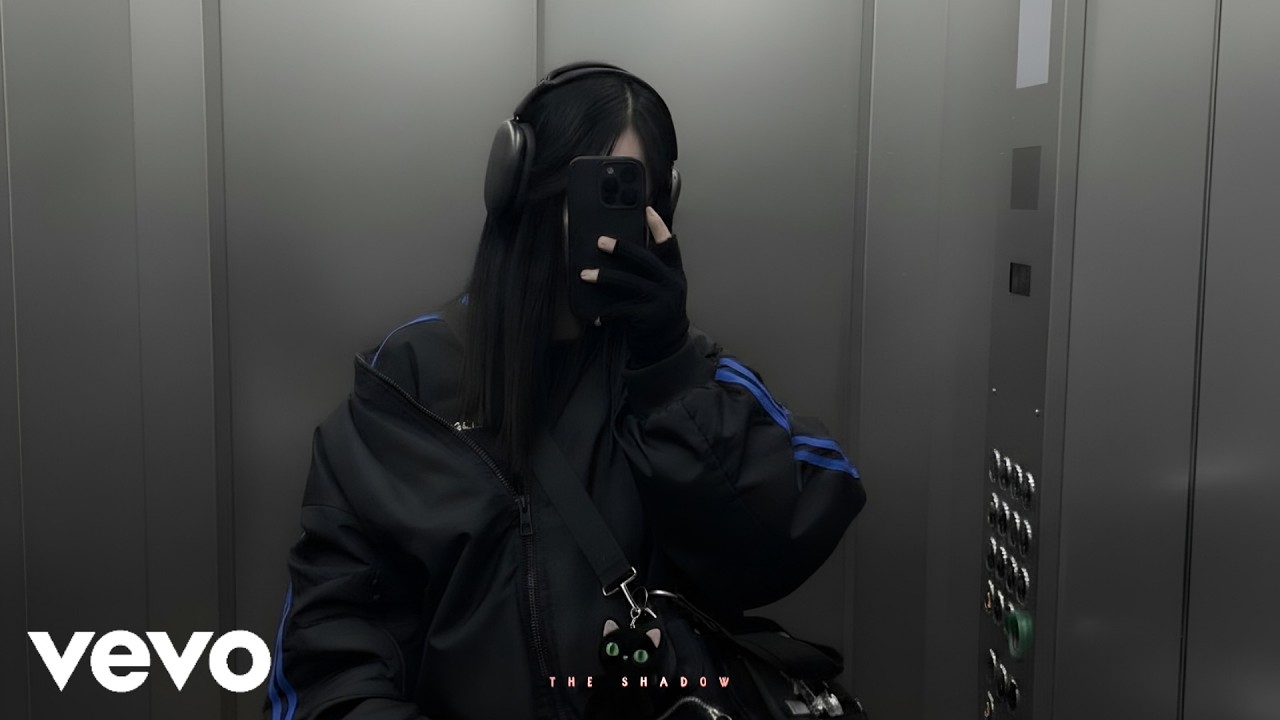 Alan Walker & The Shadow - Don't Wait Up 🎶