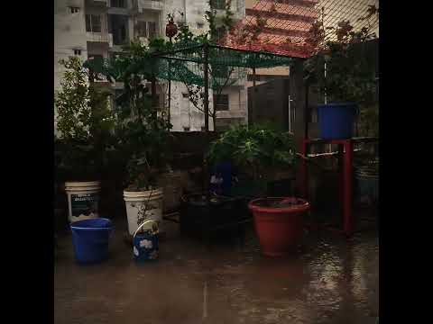 emono dine tare bola jay,,,,