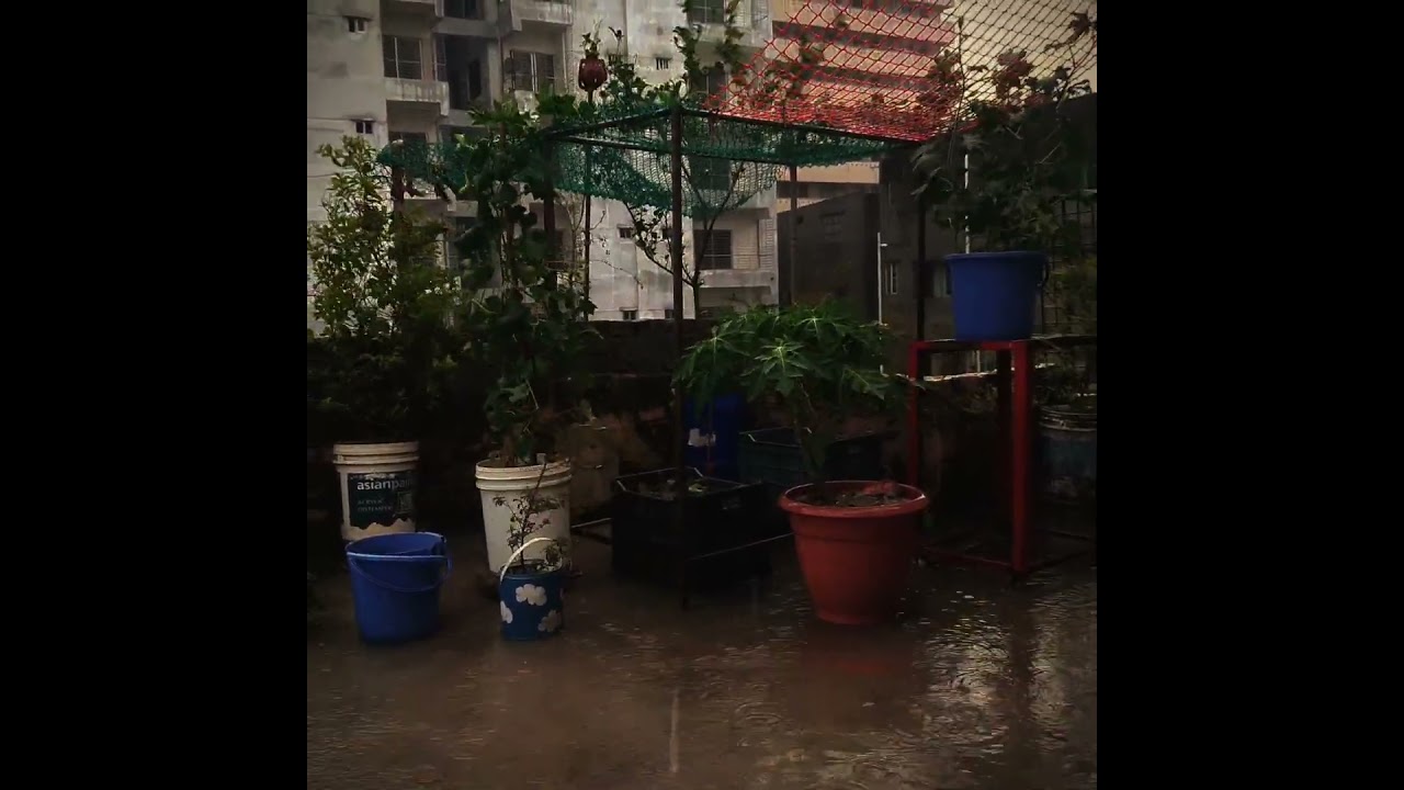 Emono Dine Tare Bola Jay