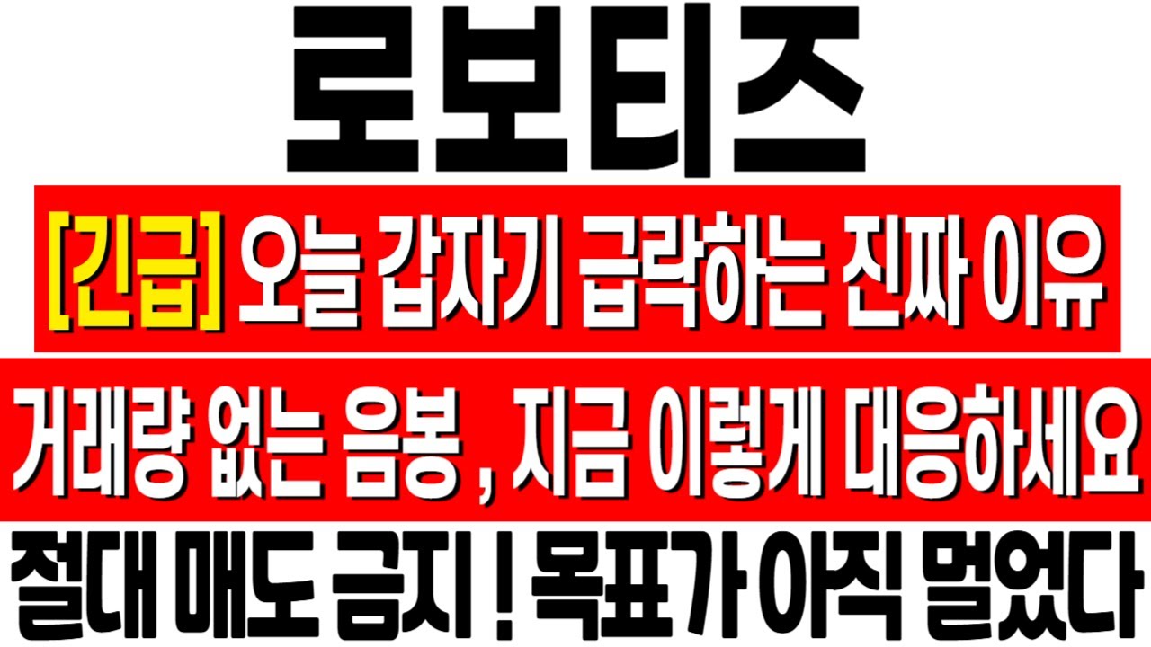 로보티즈 주가 급락 원인과 대응 전략📉