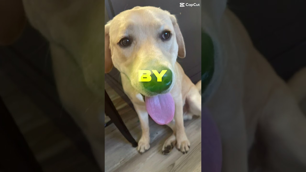 Highs & Lows: Inspiring Song 🎶