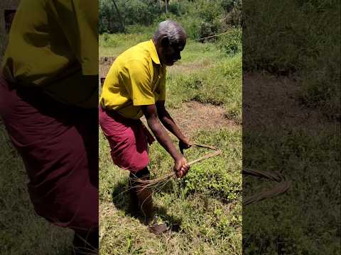 நீரோட்டம் பார்க்கும் முறை பகுதி 3 Shorts #shorts2024 #village #நீரோட்டம் #borewell
