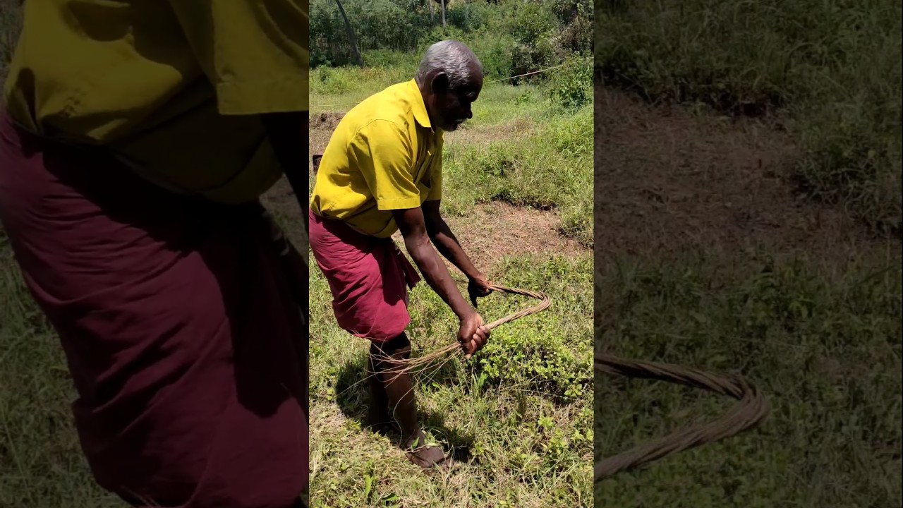 நீரோட்டம் பார்க்கும் எளிய முறைகள் | பகுதி 3 🌿