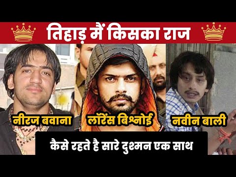 जेल में भी माफिया राज: कैसे चलते हैं सल्तनत 🏛️