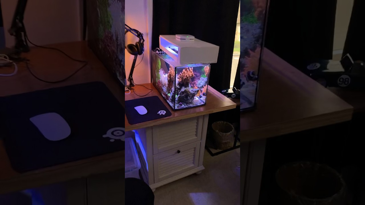 Ultimate Guide to Setting Up a 10-Gallon Nano Reef Tank π