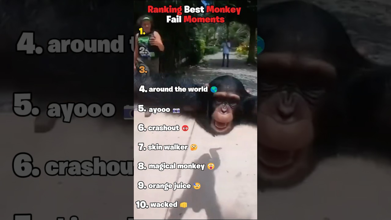 Top Monkey Fail Moments π