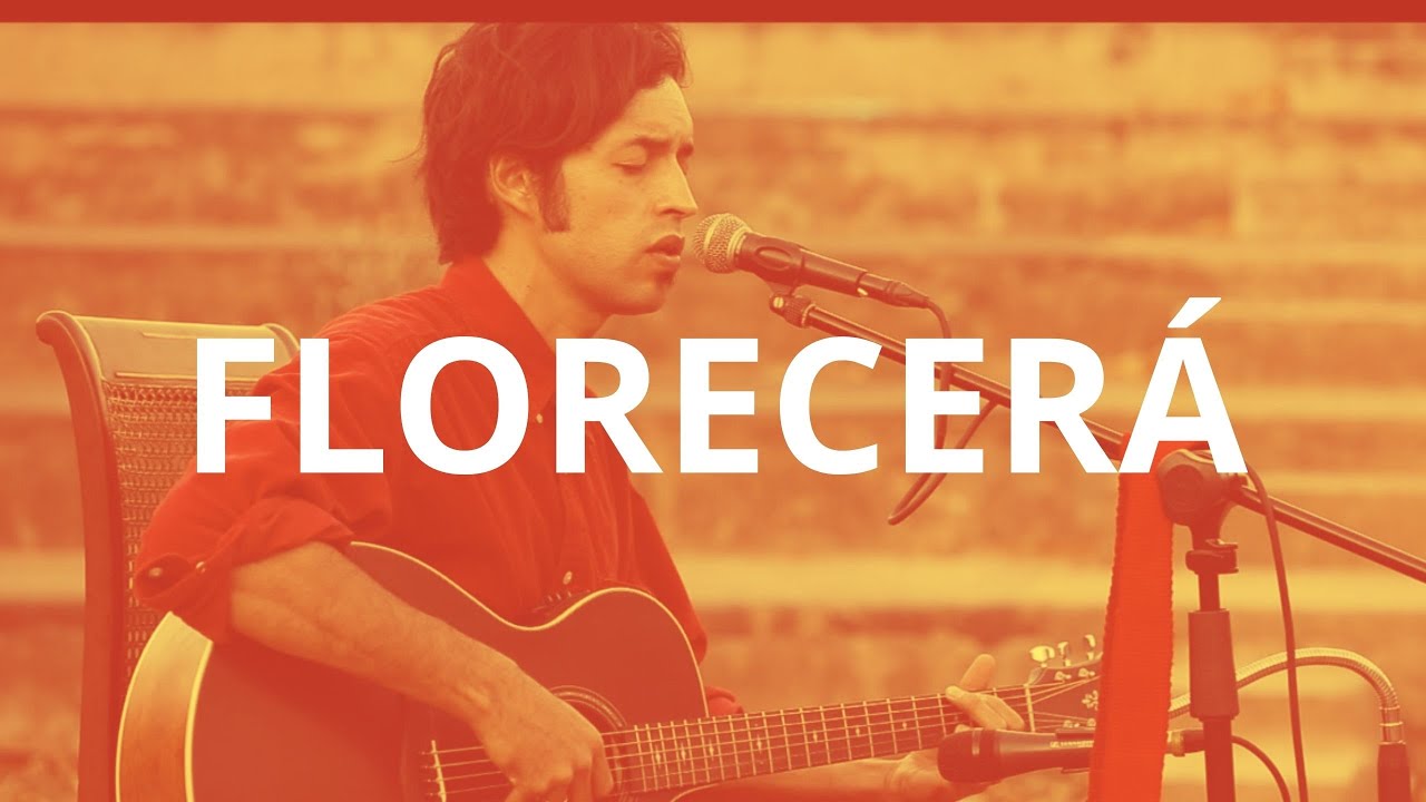 PHI UNO - Florecerá (Live Session)