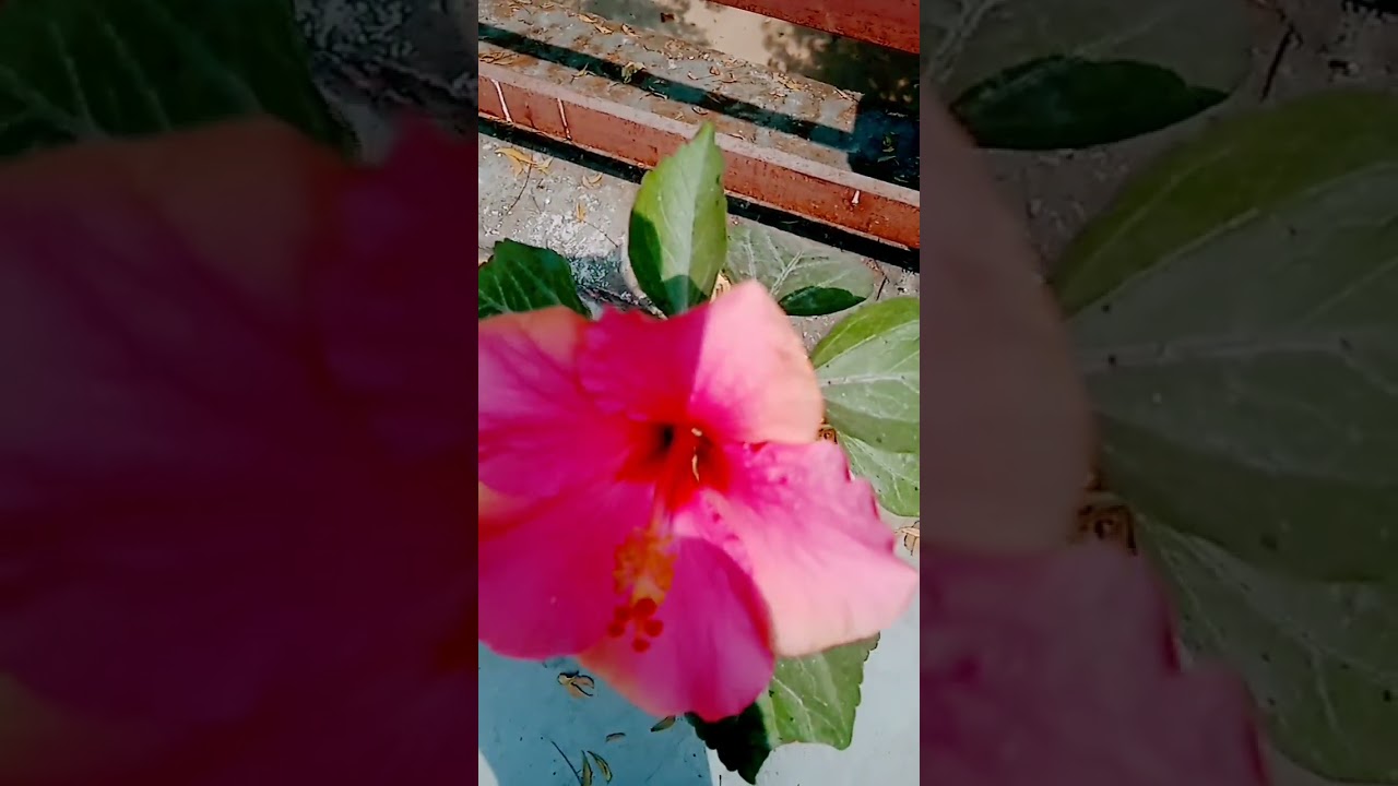 28 Important Date: 28 February 2025 π