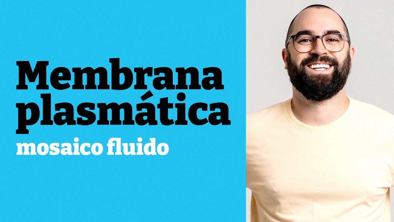 Estrutura e Função da Membrana Plasmática 🧬