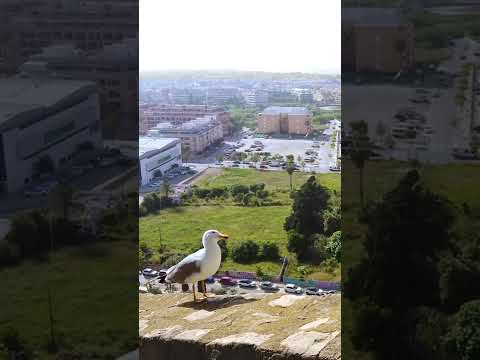 Top Things to Do in Dénia, Costa Blanca 🌞