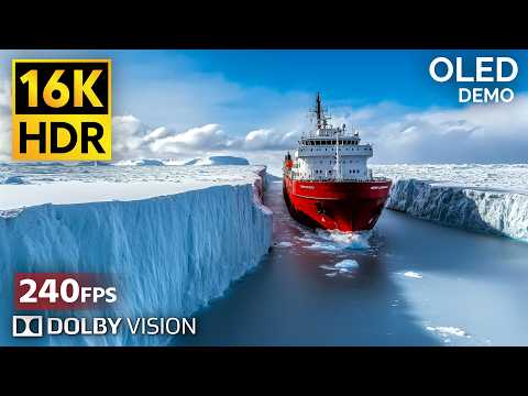 16K Ultra HD Demo Video with Dolby Vision (240FPS) - Sony