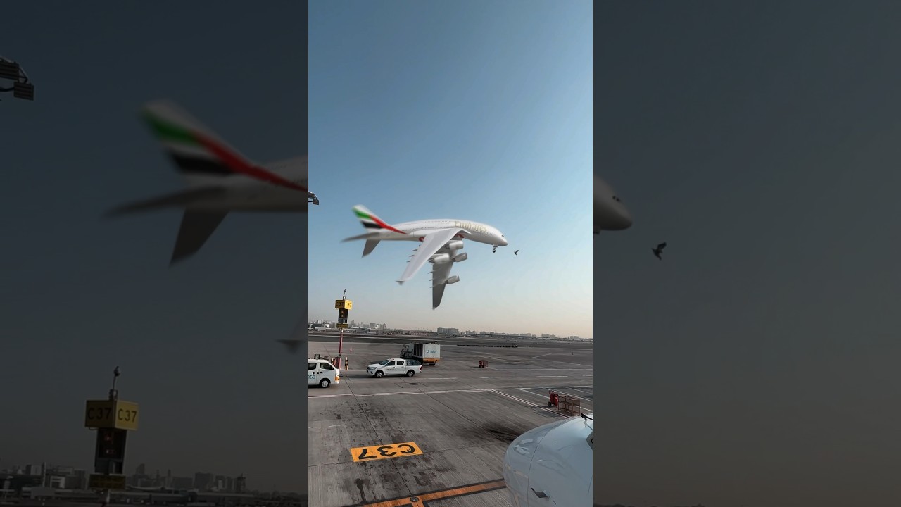 Fly High with Flappy Bird: Emirates A380 Edition ✈️