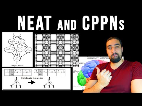 NeuroEvolution of Augmenting Topologies (NEAT) and Compositional Pattern Producing Networks (CPPN)