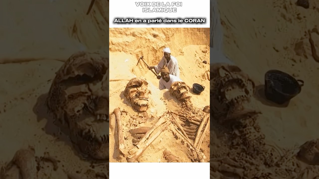 Découverte d’un squelette géant dans le désert saoudien 🇸🇦