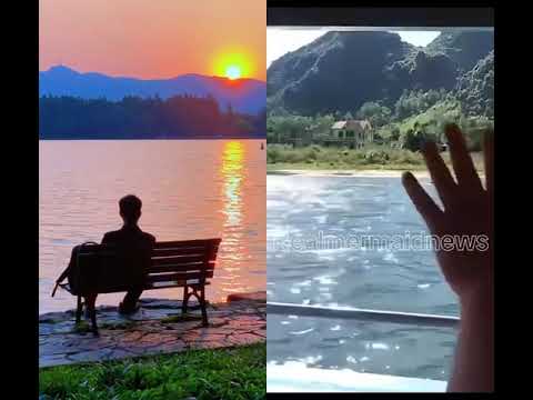 2025 Mermaid Sighting! True or False? 🧜‍♀️