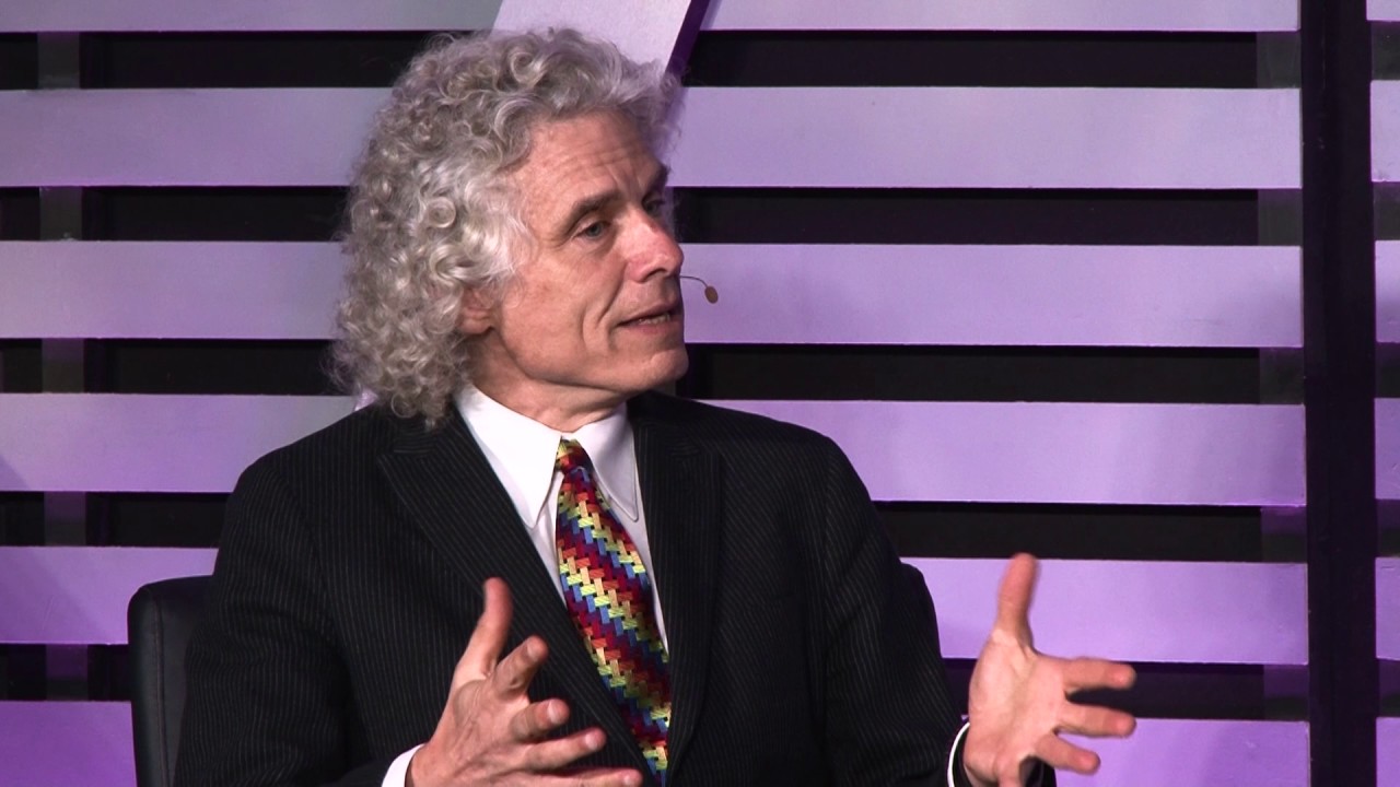 Steven Pinker Discusses Noam Chomsky's Universal Grammar 🧠