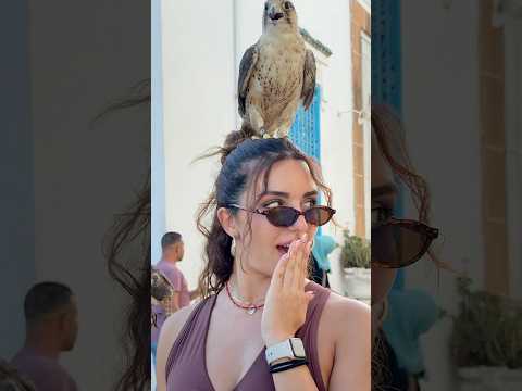 A day in the blue & white charm of Sidi Bou Said 🤍💙 #tunisia🇹🇳 #sidibousaid