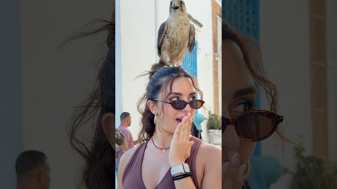 Exploring the Blue and White Charm of Sidi Bou Said