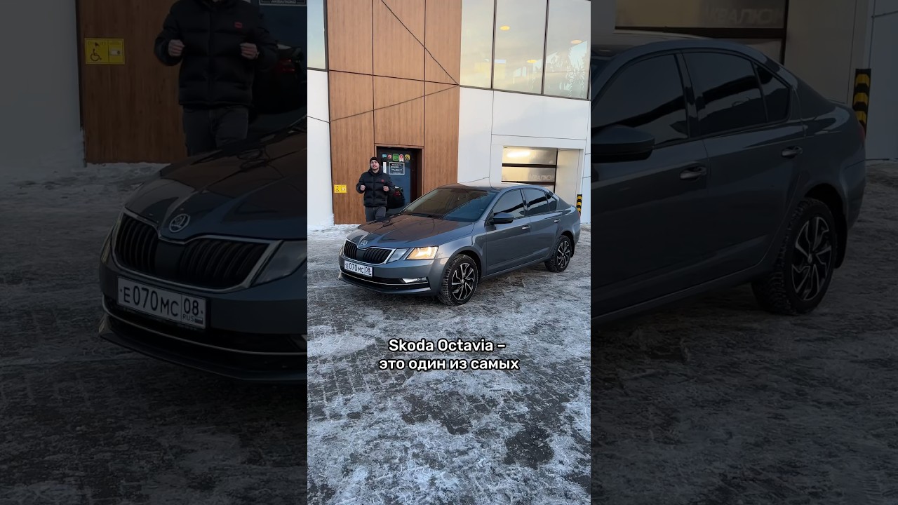 Почему любят Skoda Octavia 🚗