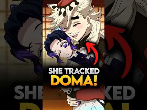 How Each Demon Slayer Found Perfect Demon During Infinity Castle Arc? Demon Slayer #shorts