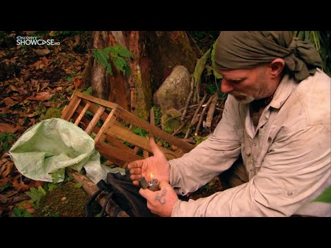 Искусство выживания в дикой природе