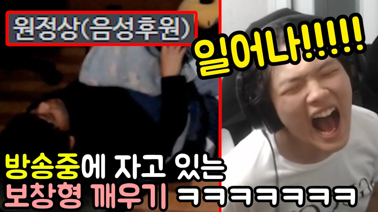 방송중인 '보창' 깨우기 😂