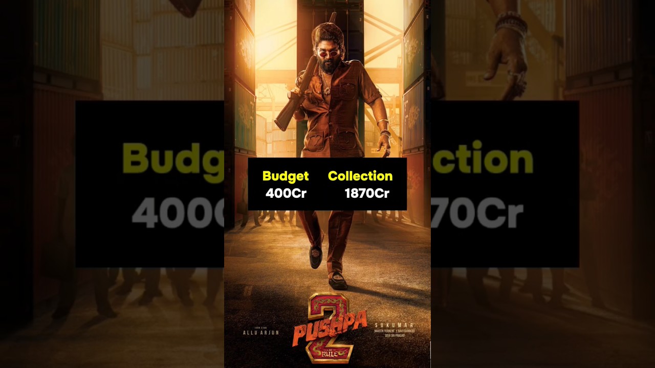 Allu Arjun's Movies: Budget & Collection Overview
