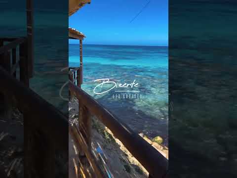 🌎📍Les Grottes secluded beach, Bizerte 🇹🇳✨#Bizerte #Tunisia