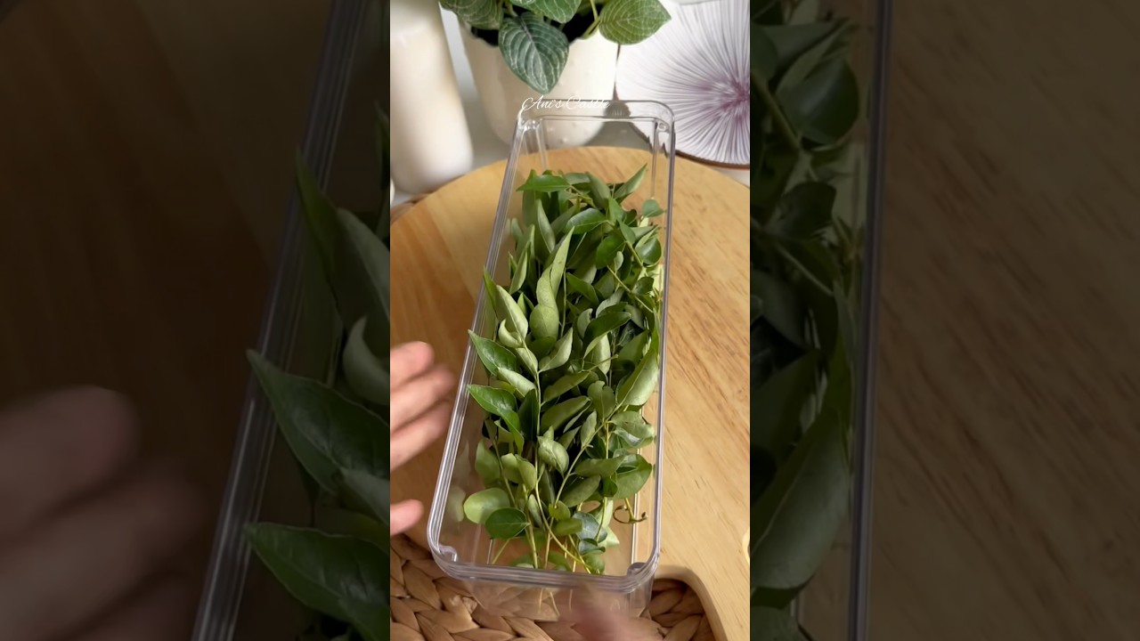 Tips to Store Curry Leaves Longer 🌿