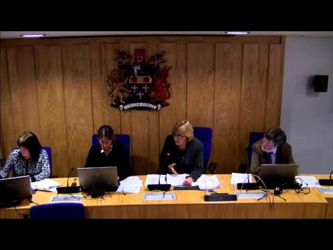 Children and Young People Select Committee Special Meeting - 6th November 2014