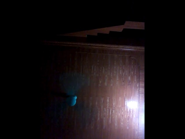 Ngày 12/8/2019: Sự kiện đặc biệt 📅