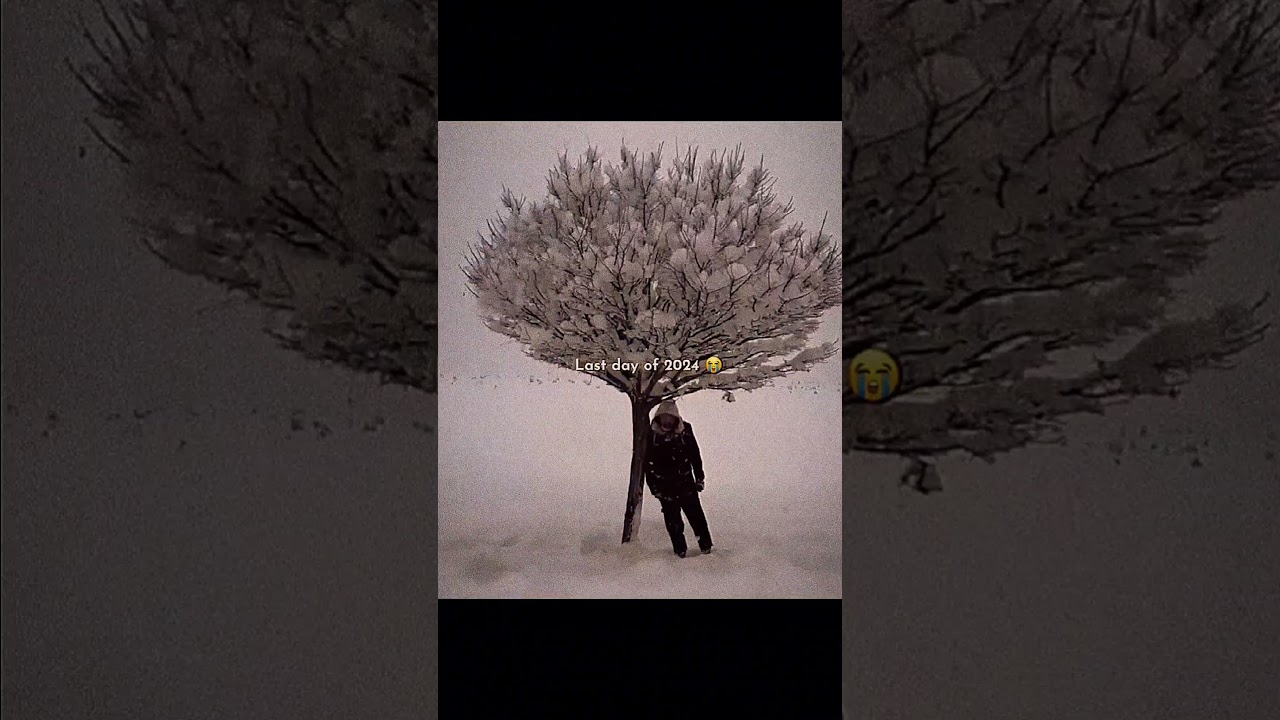 2024 Lessons & 2025 Comeback 🌟