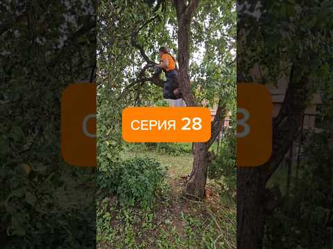 28 серия "Делаем конфетку из заросшего участка и захламленного дачного дома" #дача #ремонт #diy #дом