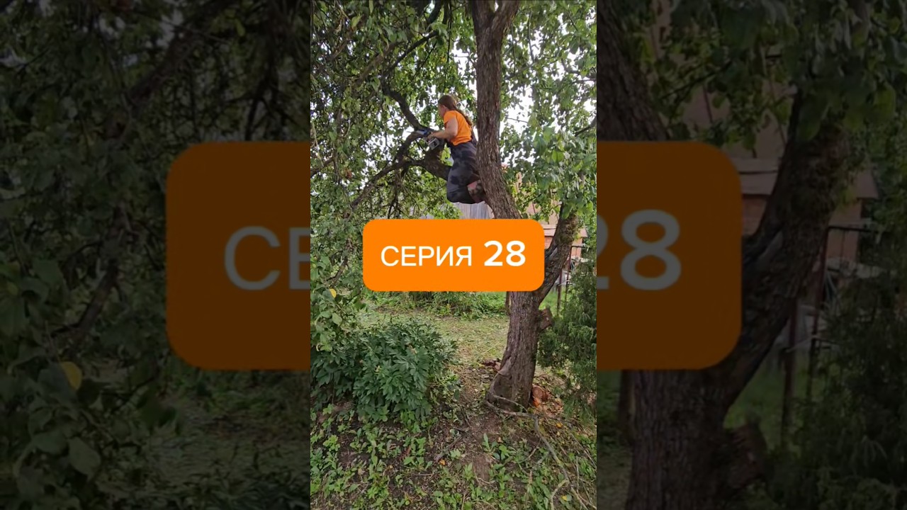 28 Создаем сладкую мечту: ремонт и преобразование заросшего участка и дачного дома 🍬